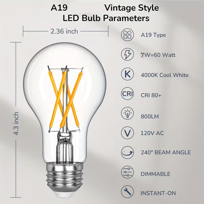 LED Edison Bulbs, A19 Style E26 Dimmable Light Bulb, 60W Equivalent Warm Amber Cool White Light
