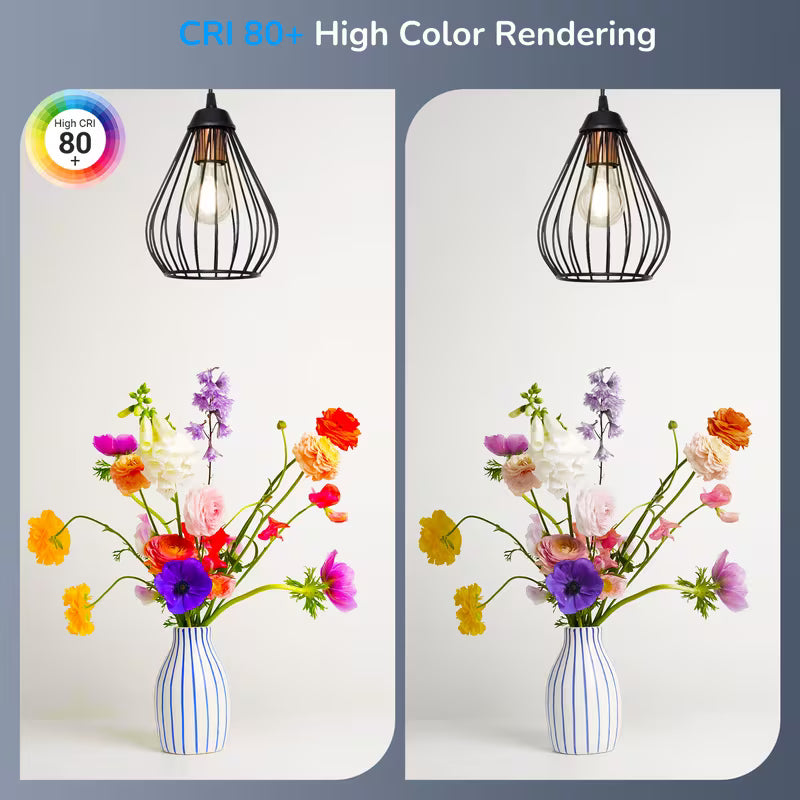 LED Edison Bulbs, A19 Style E26 Dimmable Light Bulb, 60W Equivalent Warm Amber Cool White Light